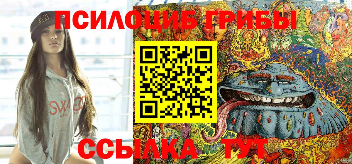Буйнакск  Галлюциногенные грибы Psilocybe  Вход с VPN 
